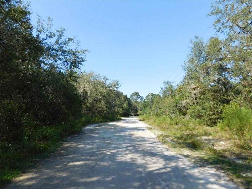 New Port Richey, FL 34654,0 FIELD