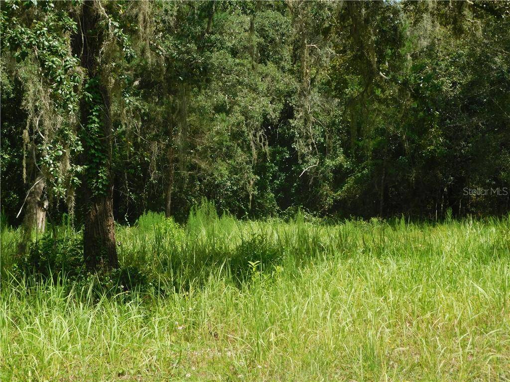 New Port Richey, FL 34654,0 FIELD