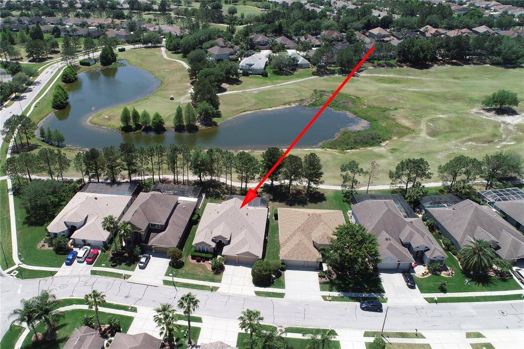 Land O Lakes, FL 34639,23620 ABERCORN LN