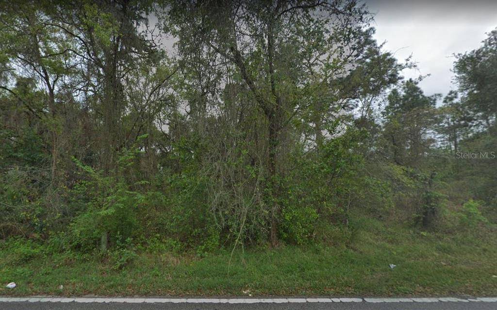 New Port Richey, FL 34654,0 OCONEE BLVD