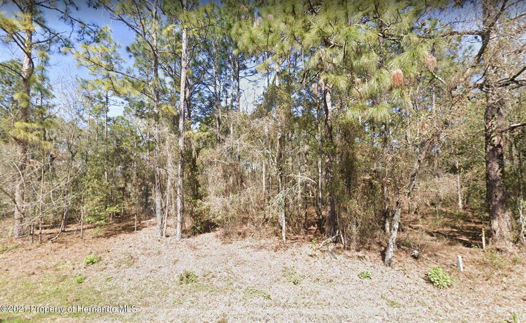 Brooksville, FL 34604,OAKCREST CIR