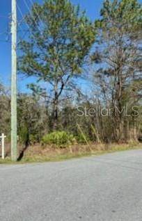 Brooksville, FL 34614,00 MARVELWOOD RD