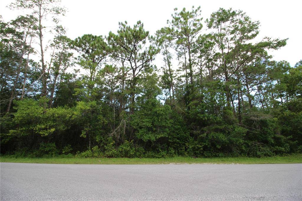 Brooksville, FL 34604,5459 DREW ST