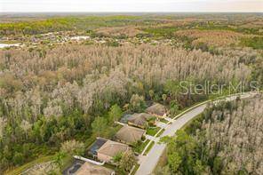 Land O Lakes, FL 34638,15408 PRINCEWOOD LN