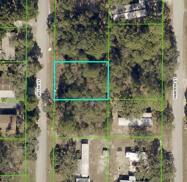 Spring Hill, FL 34606,3212 WELSH ST