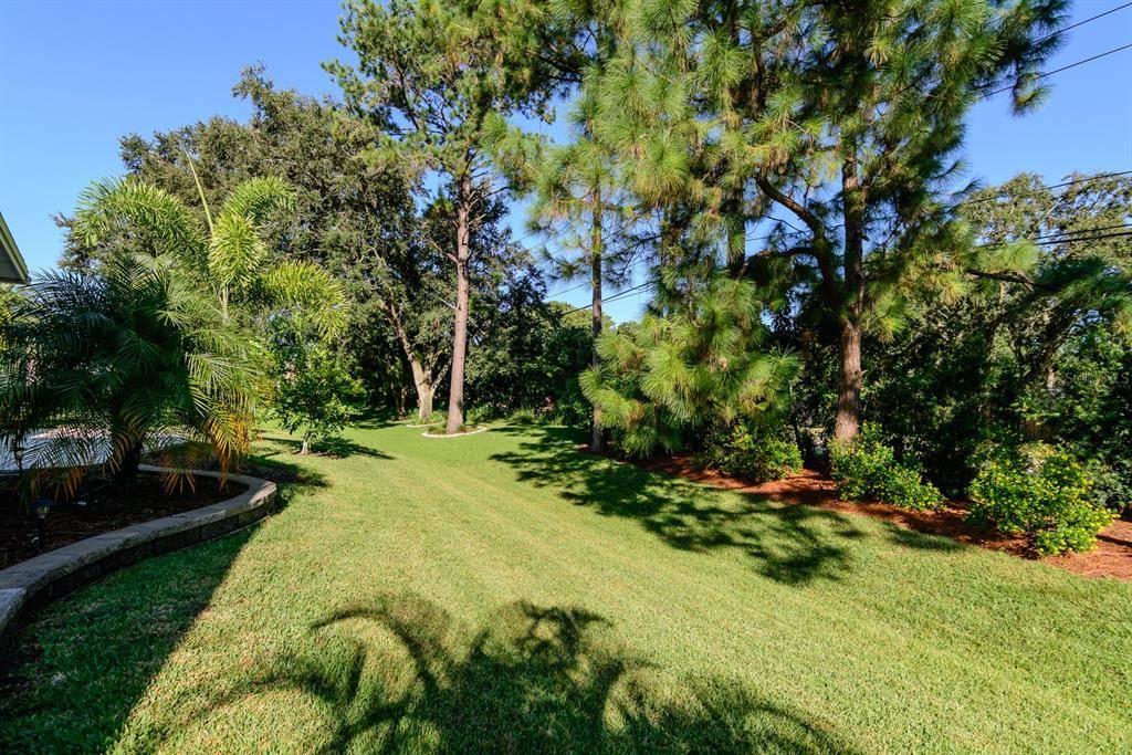 Palm Harbor, FL 34684,2848 THISTLE CT N