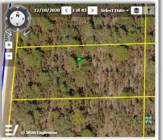 Weeki Wachee, FL 34614,18166 RAMSEY RD