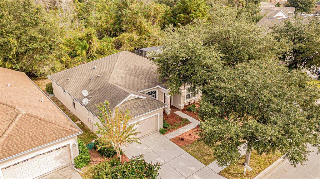 Land O Lakes, FL 34638,10710 RIBBON FERN WAY