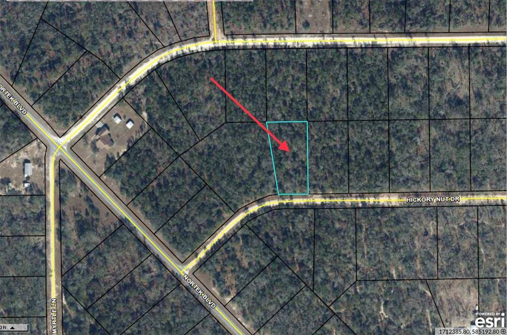 Marianna, FL 32448,HICKORY NUT DR