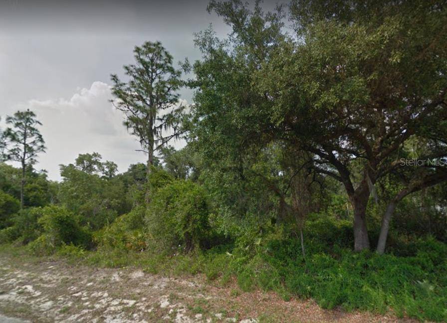 Babson Park, FL 33827,0 CARSON AVE