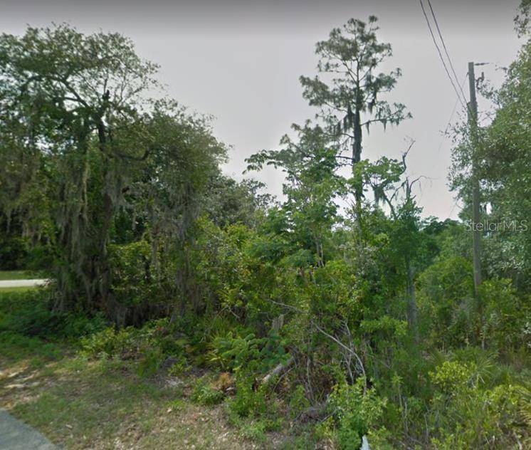 Babson Park, FL 33827,0 CARSON AVE