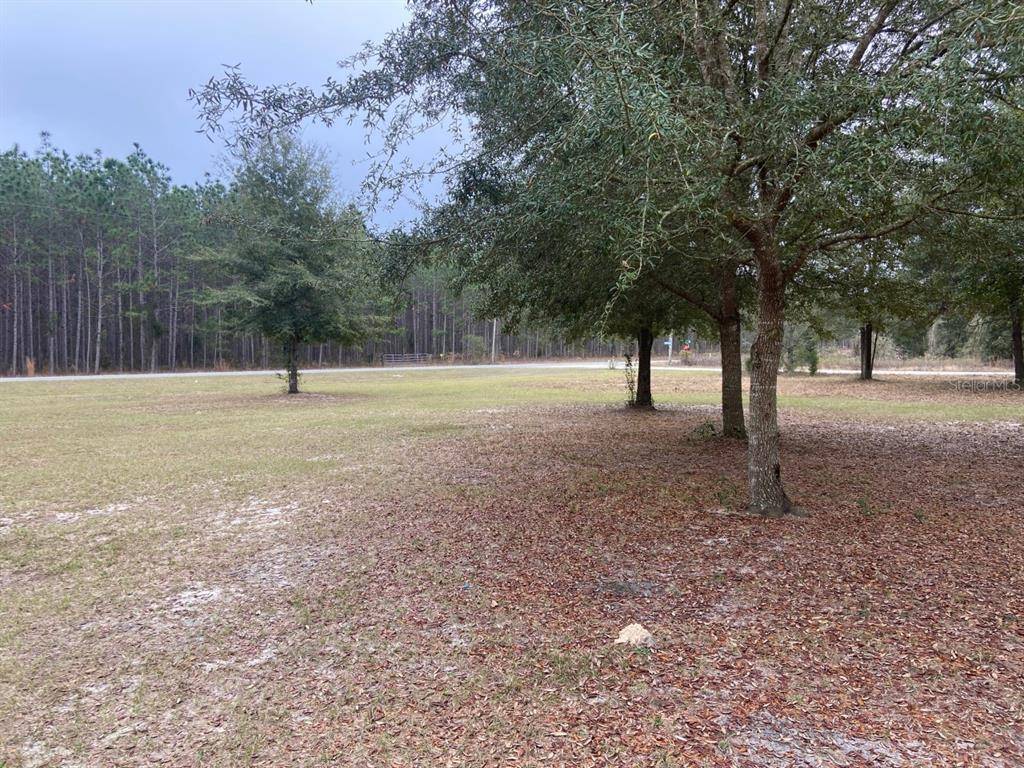 Live Oak, FL 32064,8893 COUNTY ROAD 136 W