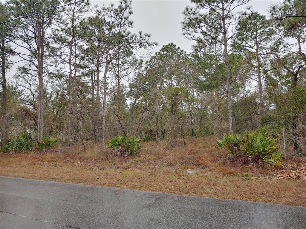 Brooksville, FL 34614,12011 LABRADOR DUCK RD