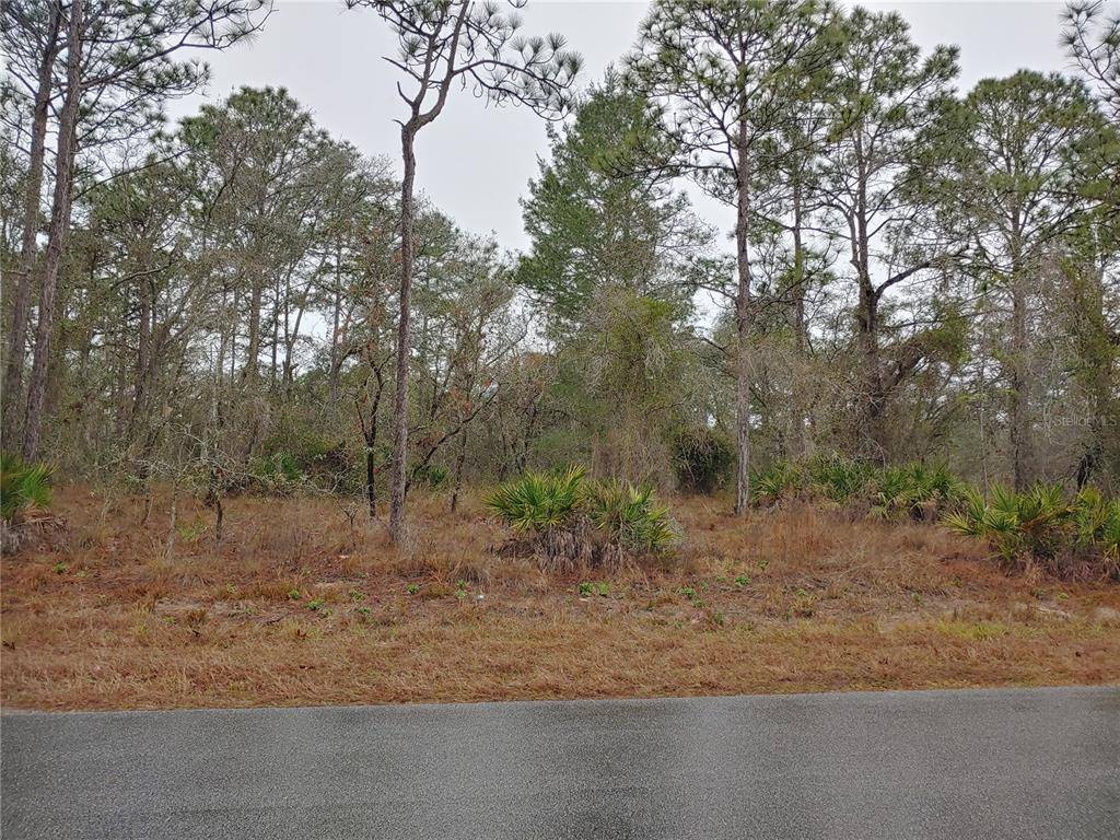 Brooksville, FL 34614,12011 LABRADOR DUCK RD