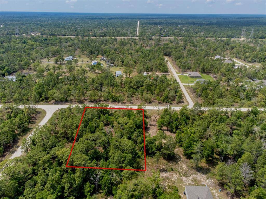 Brooksville, FL 34614,CHIMNEY SWIFT RD