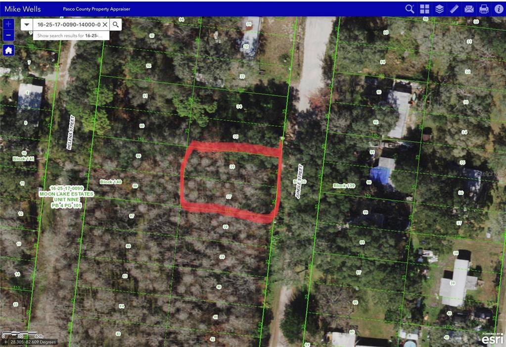 New Port Richey, FL 34654,0 JUNGLE ST