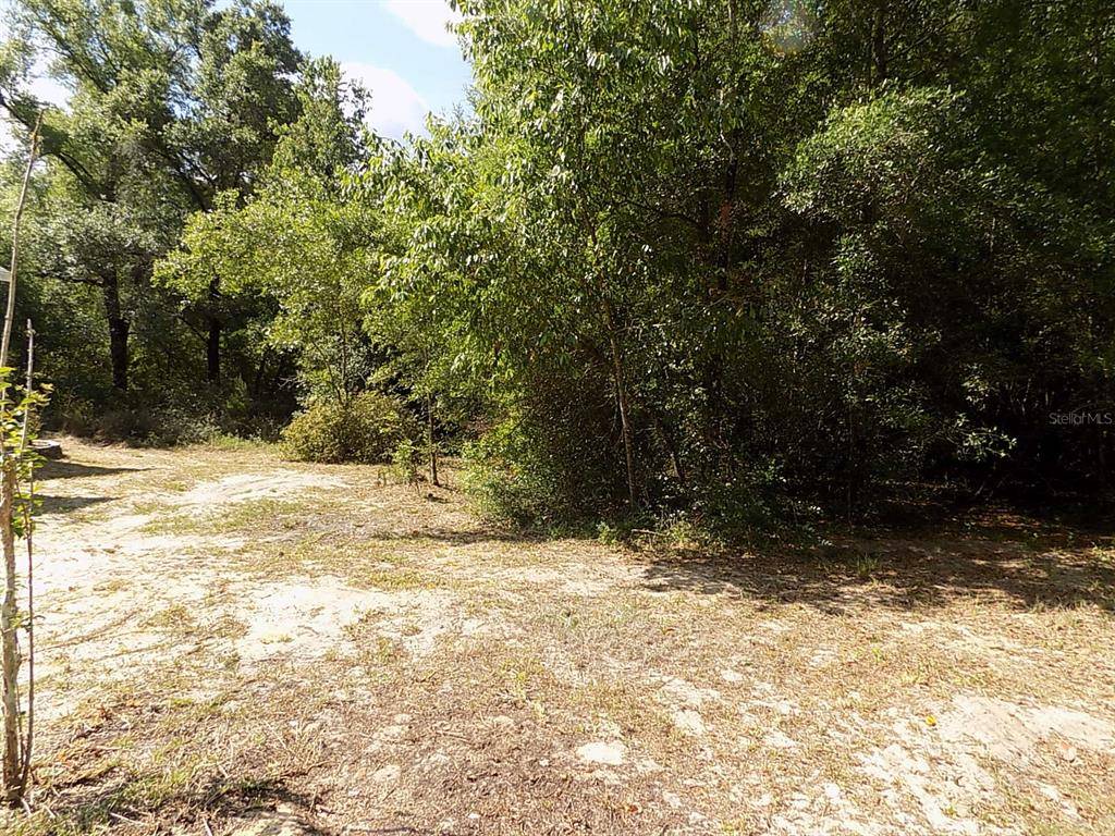 Brooksville, FL 34601,16434 CHEROKEE RD