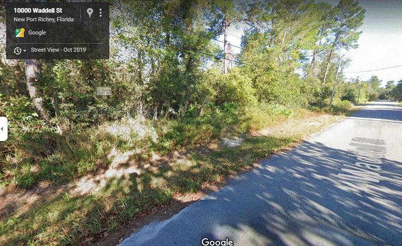 New Port Richey, FL 34654,00 WADDELL ST