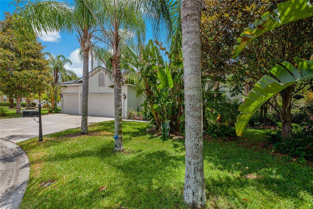 New Port Richey, FL 34655,6156 JAPONICA CT