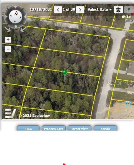 Weeki Wachee, FL 34614,14409 ERMINE OWL RD