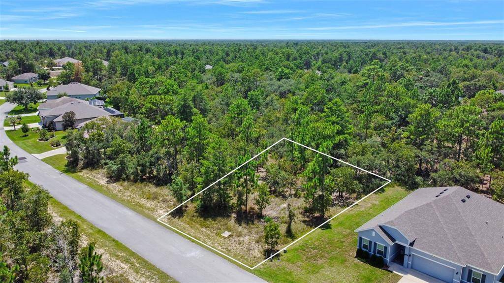 Homosassa, FL 34446,19 LUPINE ST