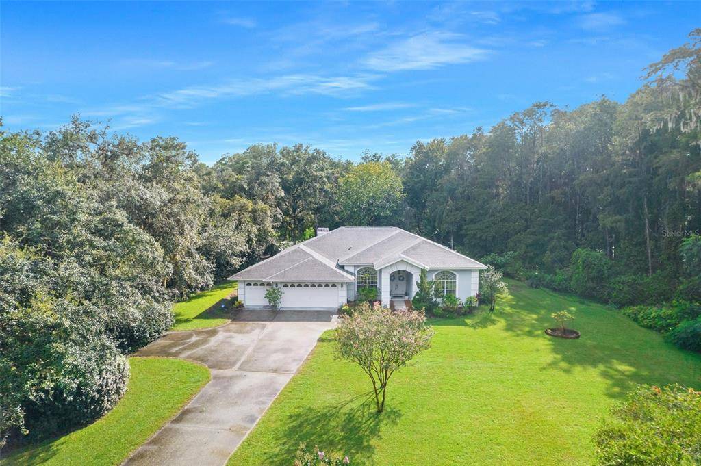 New Port Richey, FL 34654,10135 BUCK DR