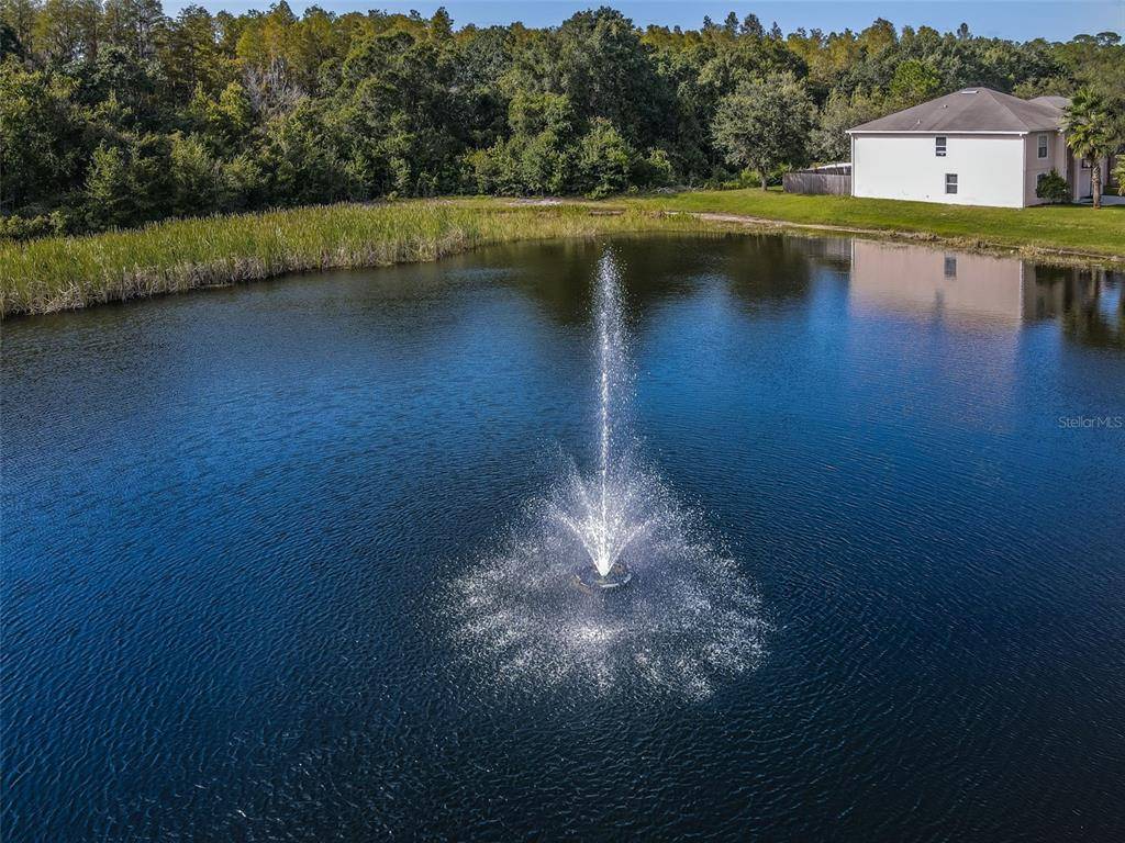 Land O Lakes, FL 34638,17043 TORVEST CT