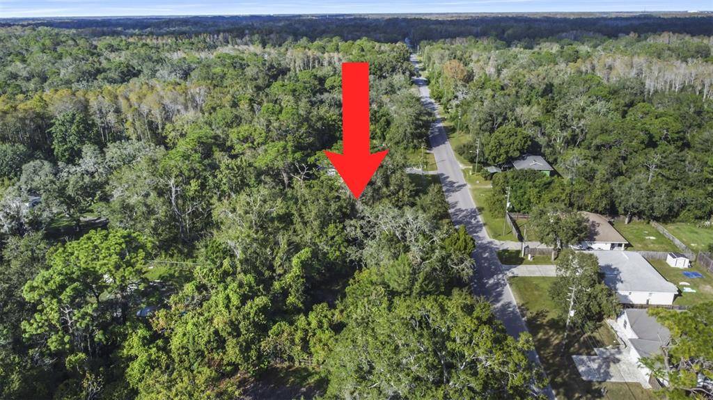 New Port Richey, FL 34654,0 LAKE DR #9