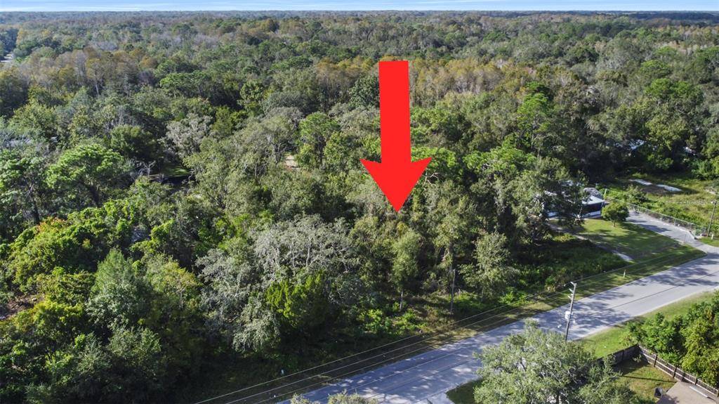 New Port Richey, FL 34654,0 LAKE DR #9