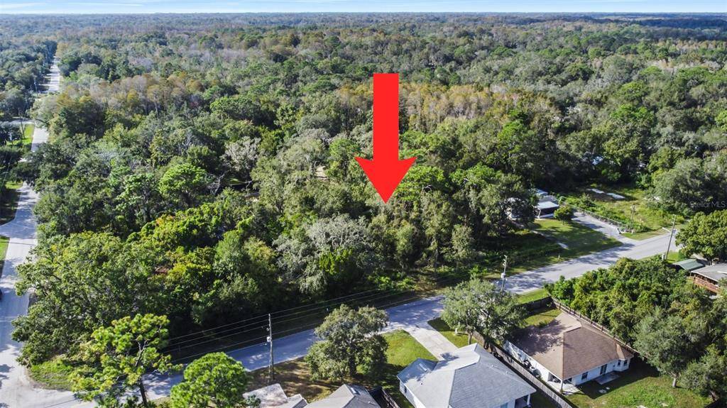 New Port Richey, FL 34654,0 LAKE DR #9