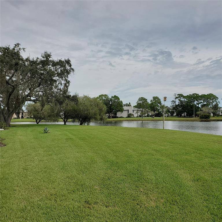 Oldsmar, FL 34677,151 LAKEVIEW WAY #151