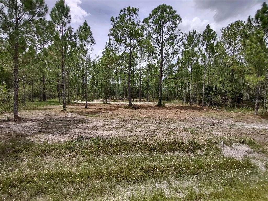 Webster, FL 33523,Lot 46 OTTER DR