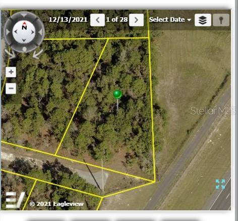 Weeki Wachee, FL 34614,RAINBIRD AVE