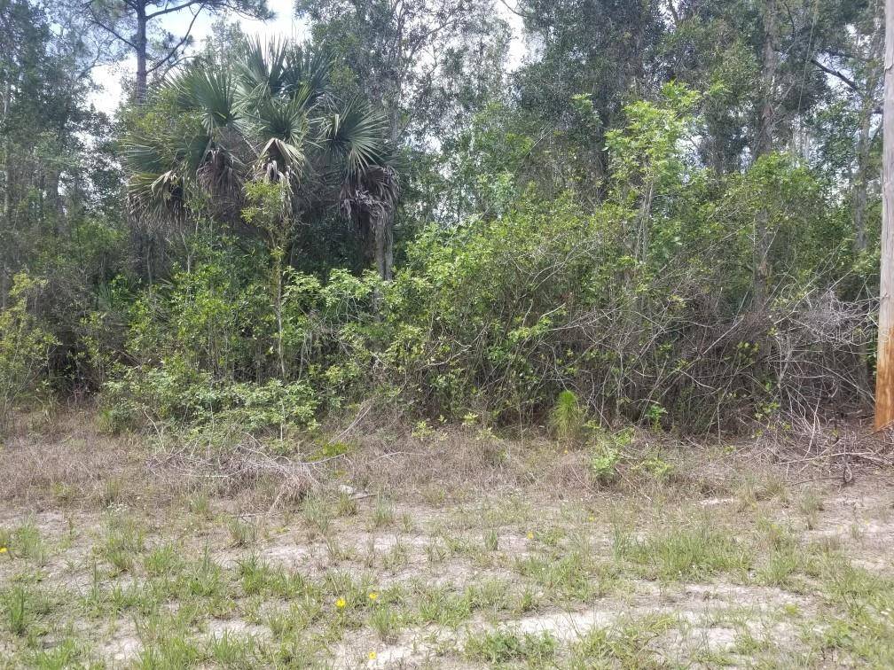 Lehigh Acres, FL 33974,1010 FAYETTE AVE