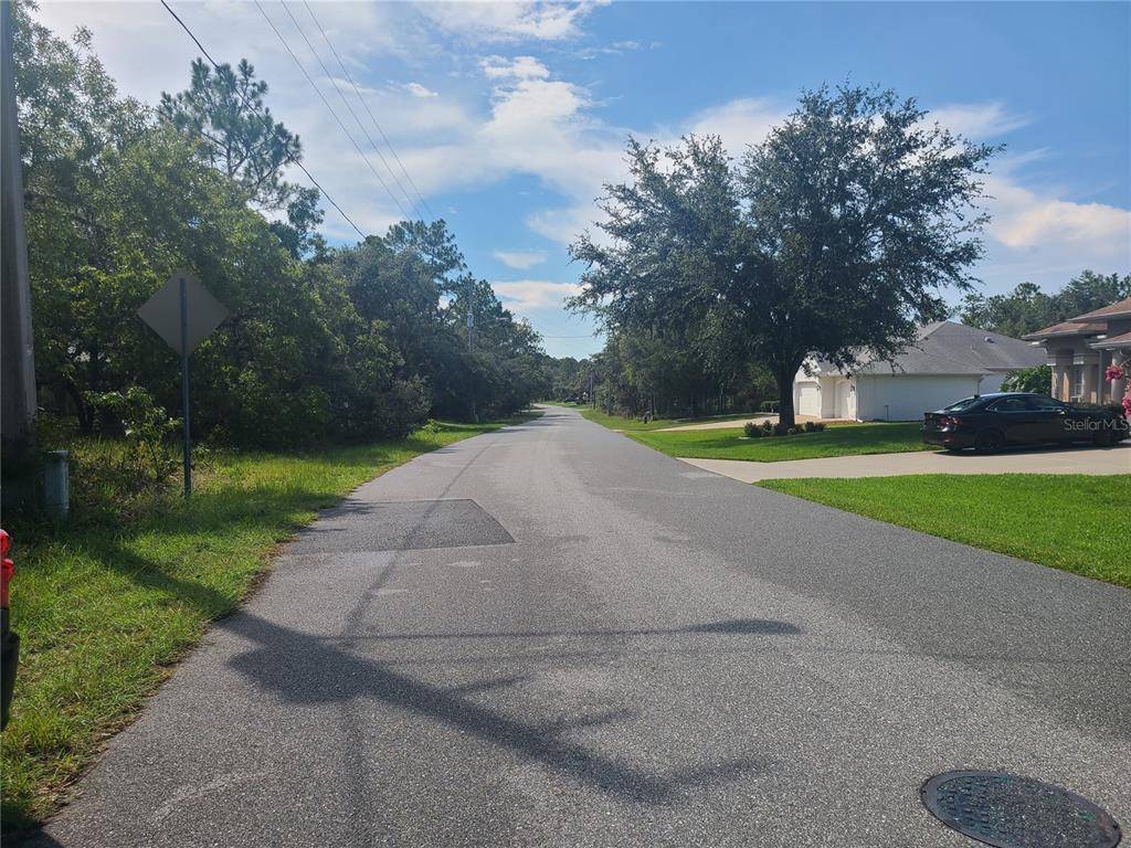 Homosassa, FL 34446,31 BLACK WILLOW ST