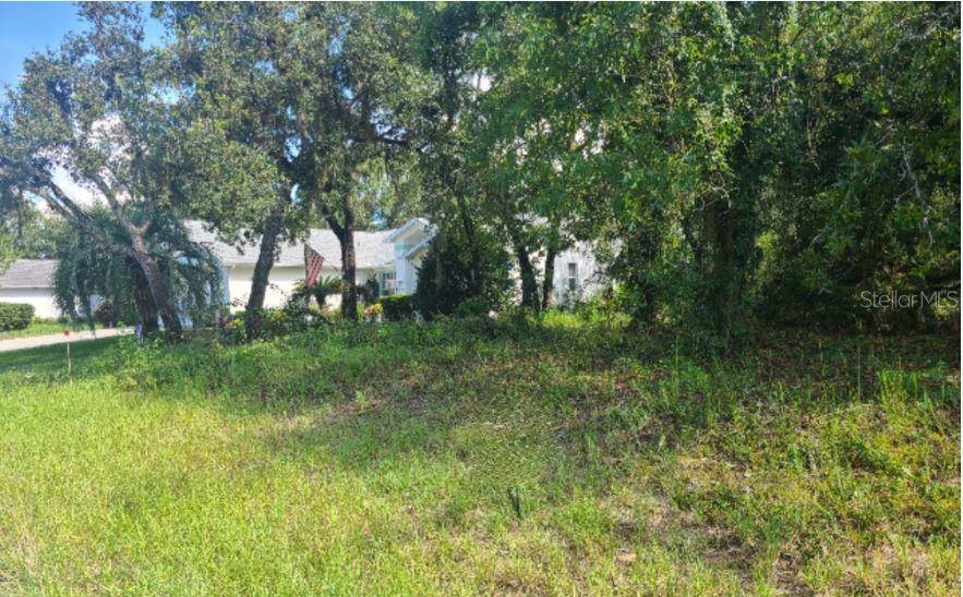 Homosassa, FL 34446,31 BLACK WILLOW ST