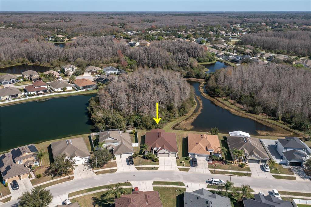 Land O Lakes, FL 34638,3132 DONINGTON CASTLE LN