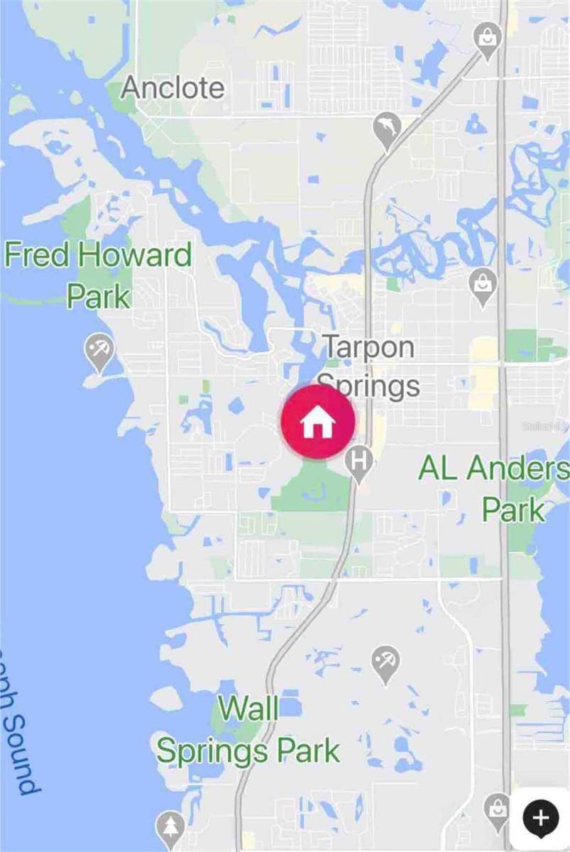 Tarpon Springs, FL 34689,717 CAROLINA AVE