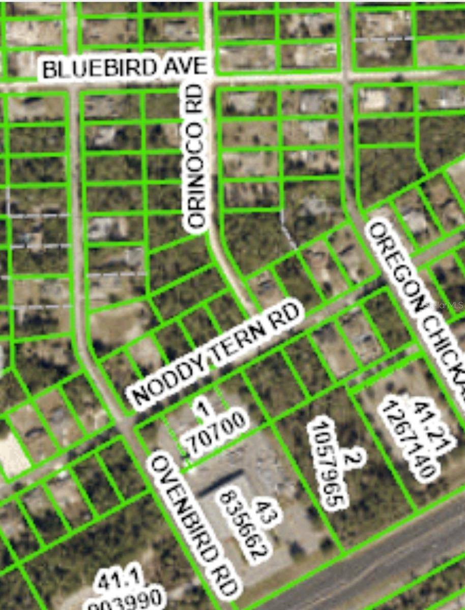Weeki Wachee, FL 34613,6495 ORINOCO RD