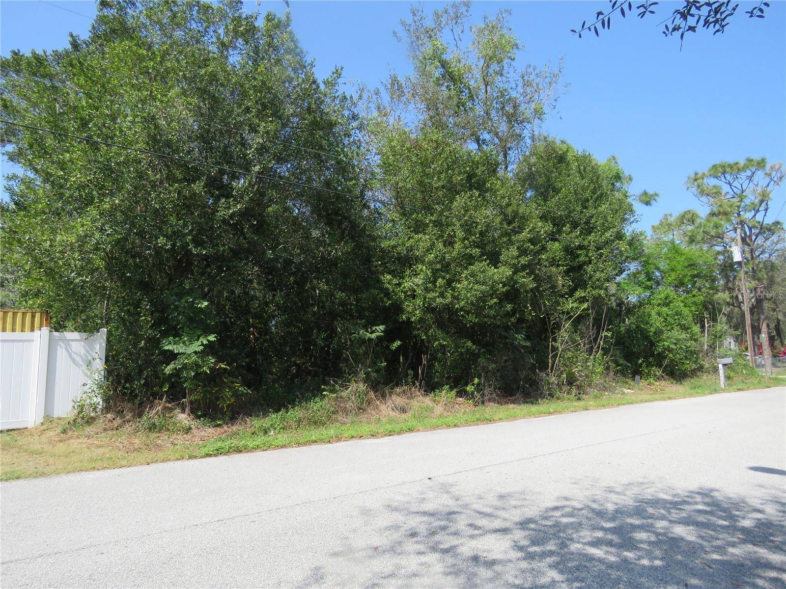 New Port Richey, FL 34654,0 CLEAR LAKE DRIVE