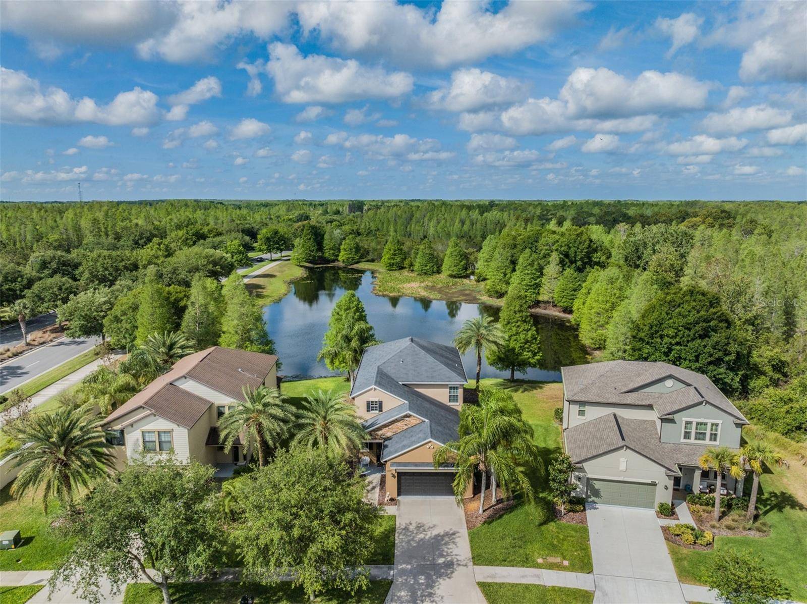 Land O Lakes, FL 34637,8547 SAVORY WALK DR