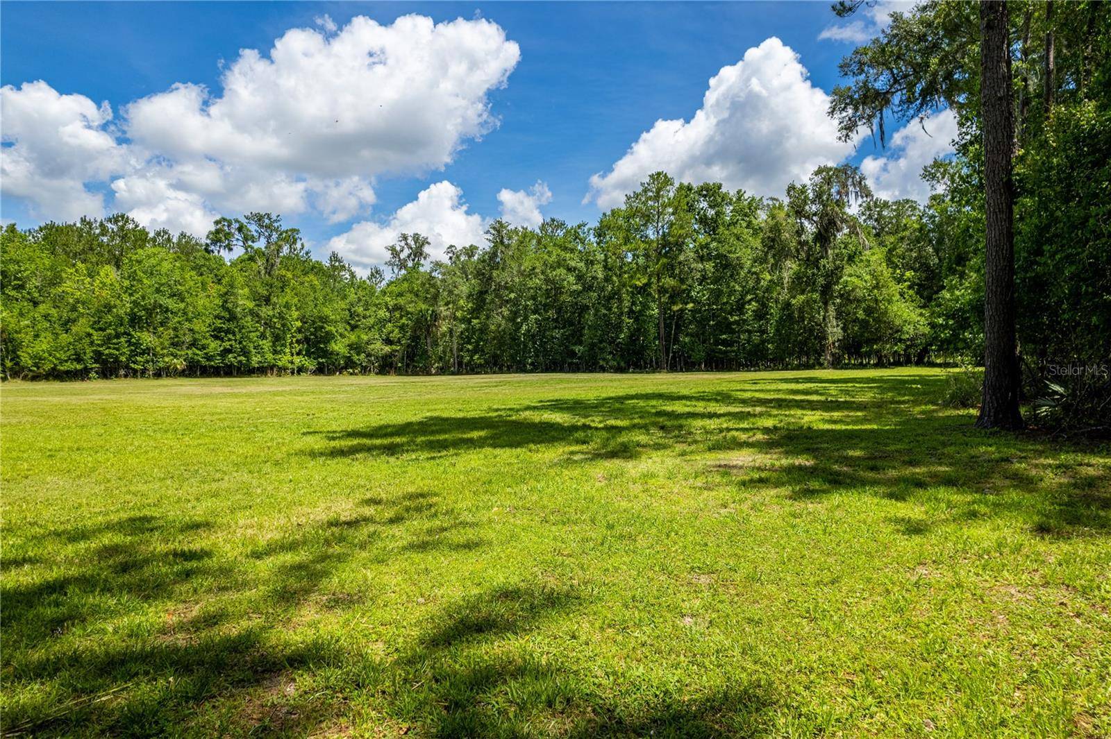 Brooksville, FL 34601,6059 SWIMMING HOLE LN