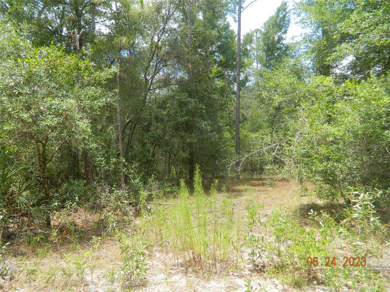 Dunnellon, FL 34433,7079 W SMILES ST