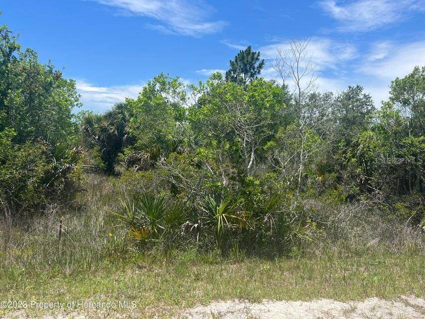 Weeki Wachee, FL 34614,18455 QUIET RD