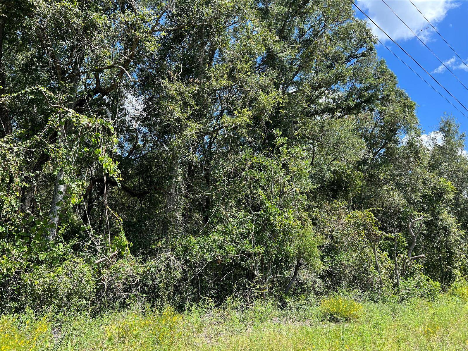 Chiefland, FL 32626,NW US 19 HWY