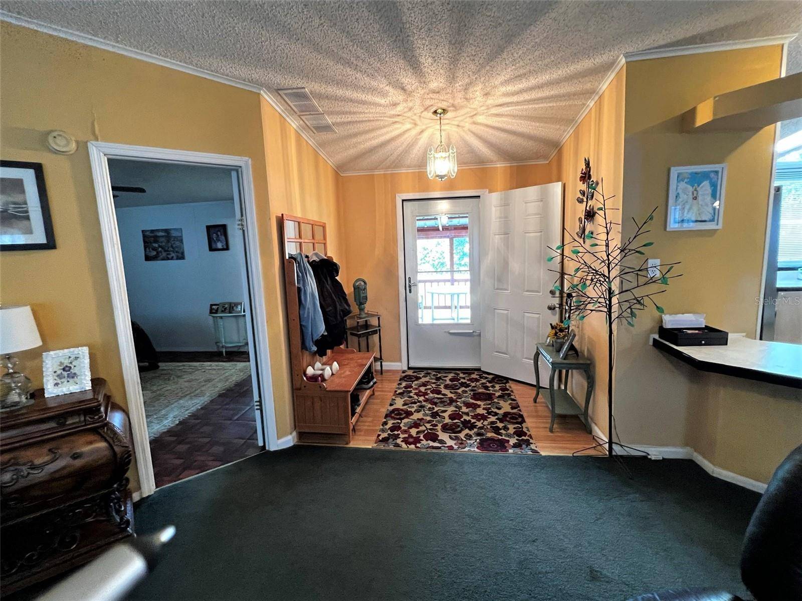 Wesley Chapel, FL 33545,7412 SKY DR