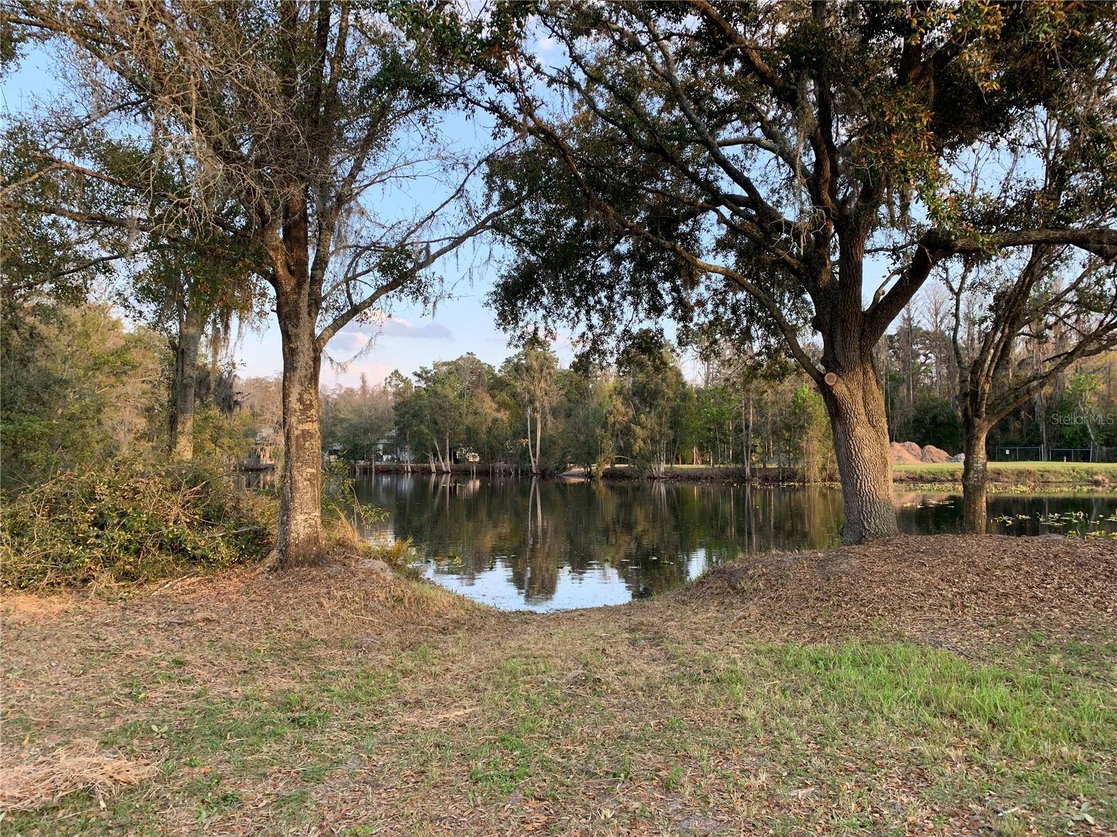 Land O Lakes, FL 34639,3926 COVE LAKE PL