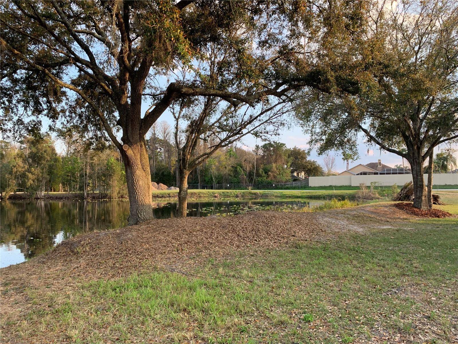 Land O Lakes, FL 34639,3926 COVE LAKE PL