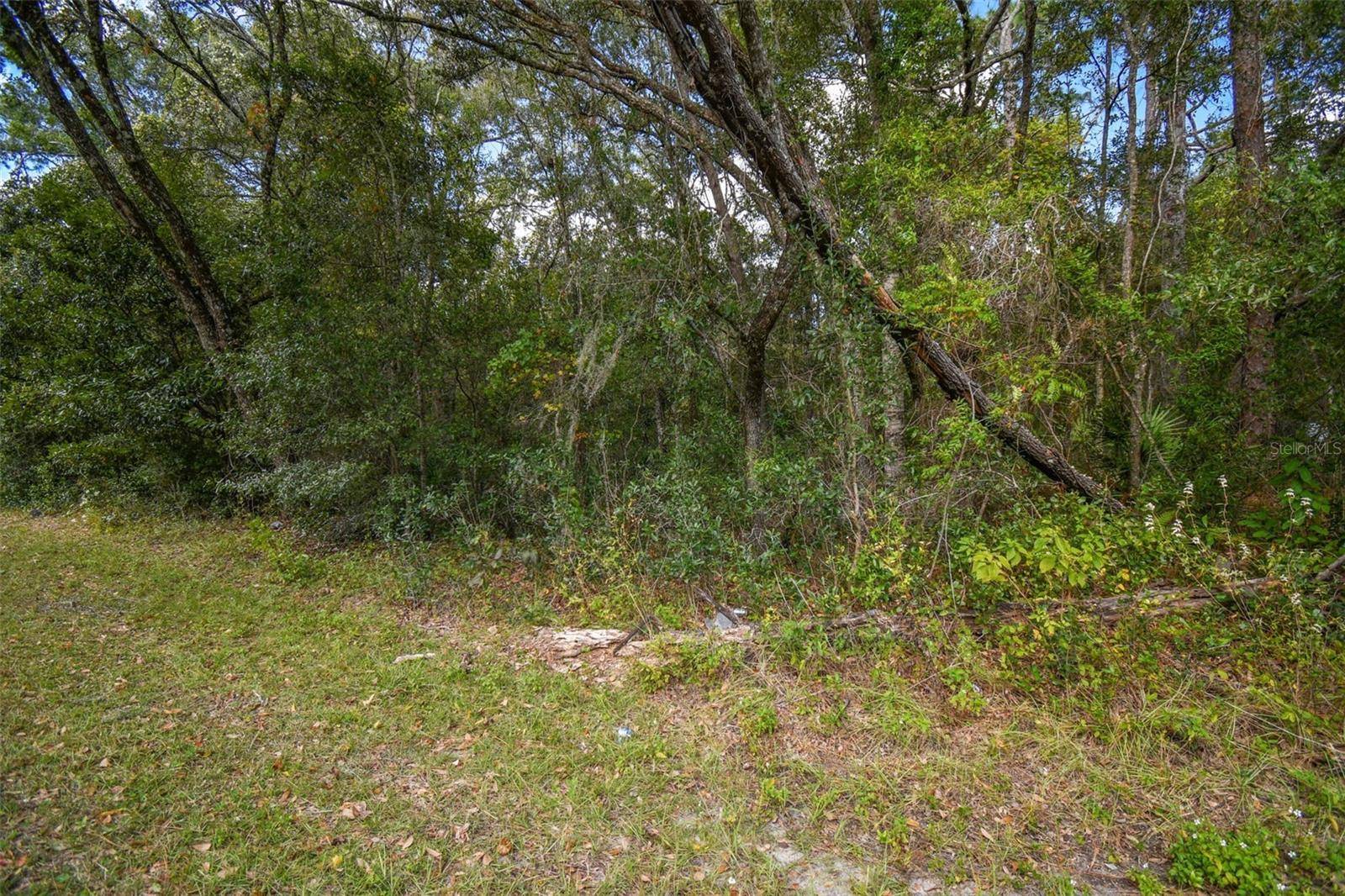 Dunnellon, FL 34432,0 SW 155TH ST