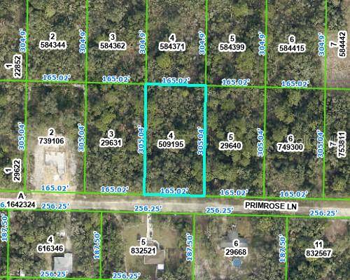 Webster, FL 33597,0 PRIMROSE LN